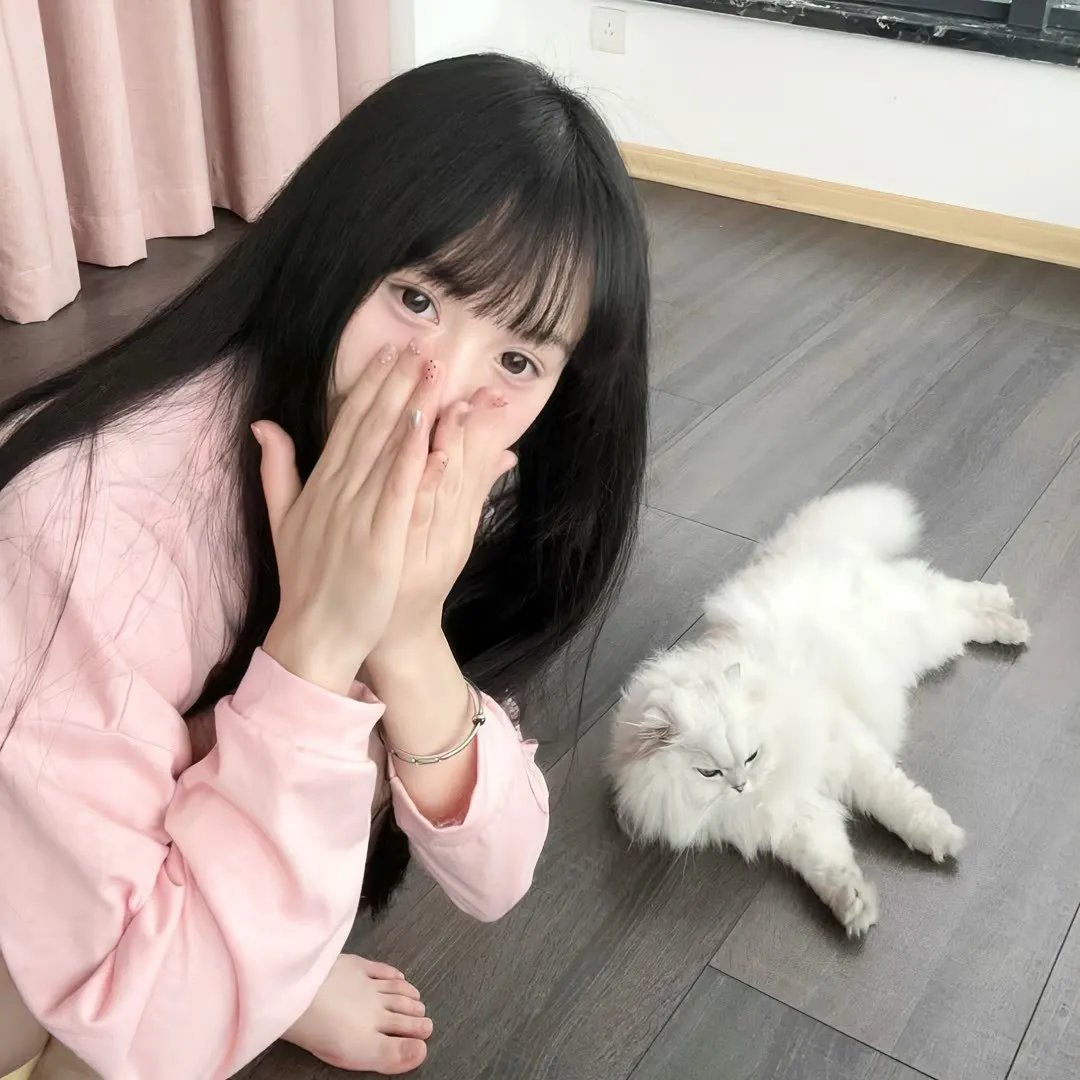 黑板丛林